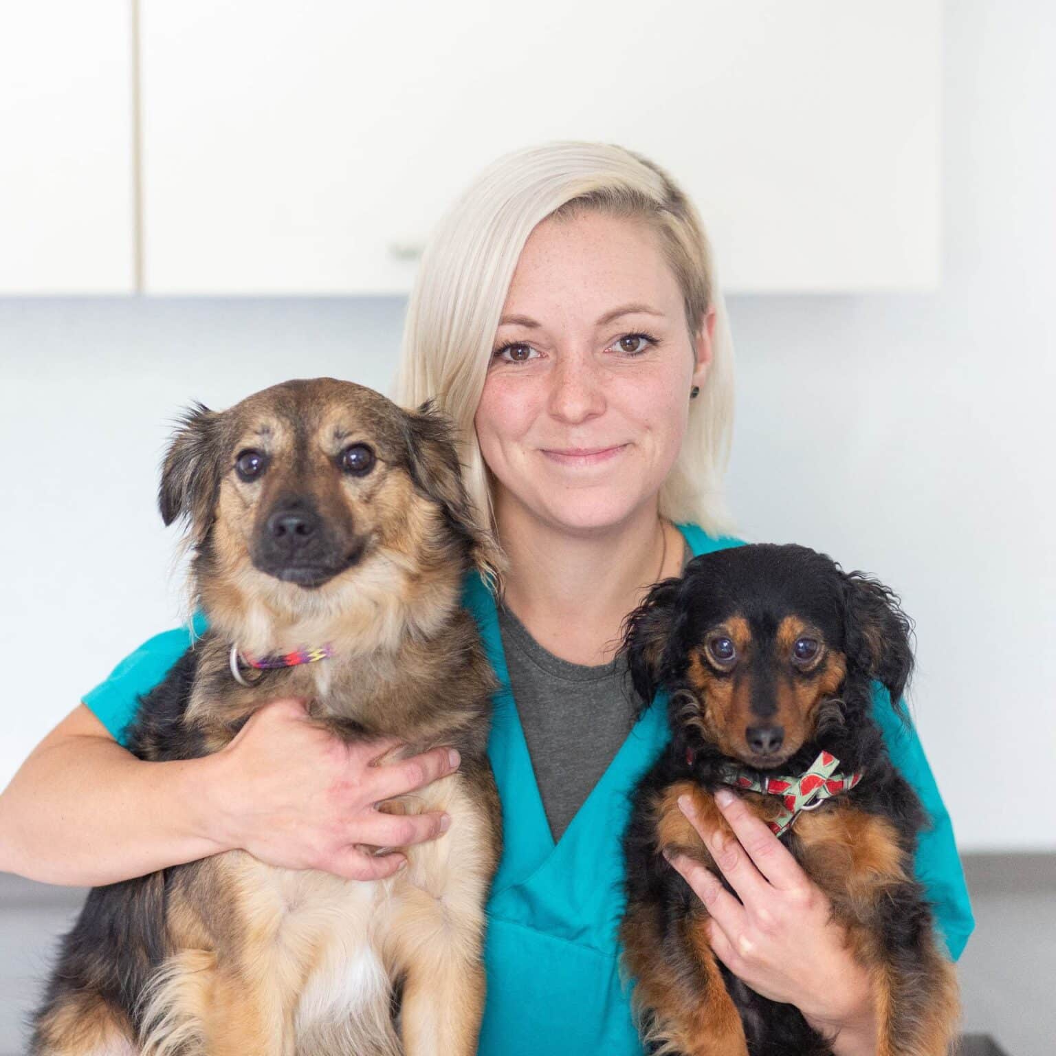 Tierarztpraxis Doc Opp - Dr. Verena Opp Tierärzte Witten | Team der Tierarztpraxis Herbede