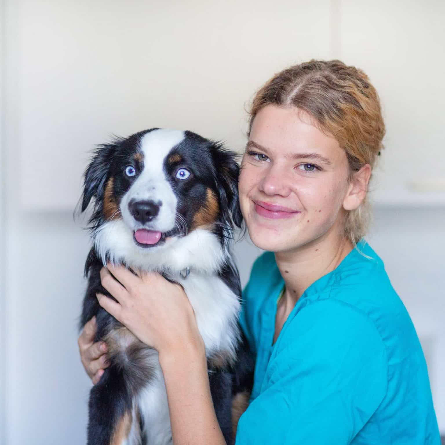 Kleintierpraxis Neuhoff Katja Dr. In 58455 Witten-Heven – AWBR